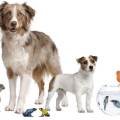 https://es.holidog.com/ImagesPetSitters/8E6EBB13-84B5-4901-A6CD-7C25E3B04992_square_120.jpg Me-gustan-mucho-las-mascotas.--143473-2