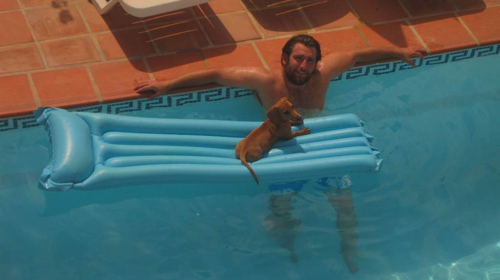 residencia-canina gr javier 0c0a6898-def3-4f85-8f91-59d46d51566b