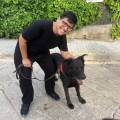 Cuidado-de-perros,-gatos,-mascotas.-249258-0
