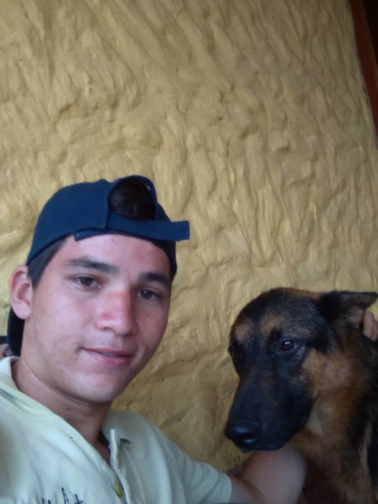 residencia-canina m carlos  e8d5c366-6df8-4d49-a48b-bc0ca2c0f0f1