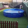FAMILIA-AMANTES-DE-LOS-ANIMALES-266746-3