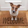 https://es.holidog.com/ImagesPetSitters/9FEDF5C2-CA22-4B29-8F18-F7A16BDDE139_square_120.jpg Patitas-felices-25134-0