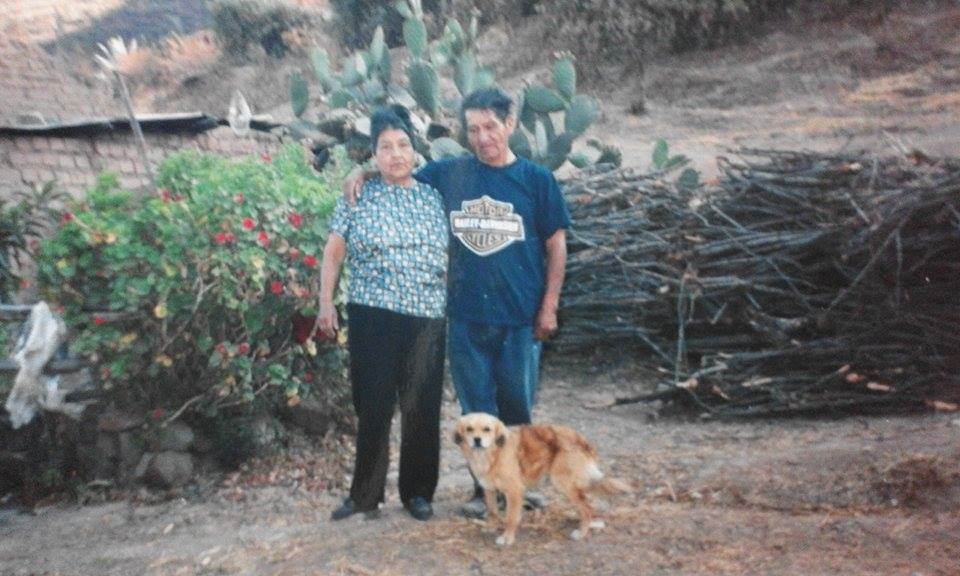residencia-canina t christian alexander a1812d01-79aa-46a5-a785-af7223785135