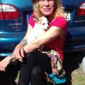 Calidad-para-los-perros.-250943-2
