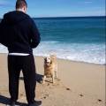 https://es.holidog.com/ImagesPetSitters/A36250A4-4D7A-4DF0-970E-63A6DB2F4D25_square_120.jpg Paraiso-para-perros-97757-0