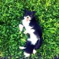https://es.holidog.com/ImagesPetSitters/A5ABD7D0-B8DE-44A8-9E91-D8B875C55102_square_120.jpg Amo-a-los-animales-39153-0
