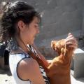 https://es.holidog.com/ImagesPetSitters/AF1D26A2-E5A8-45BD-AE52-4DE99E7602EA_square_120.jpg Casada-con-gatos,-amante-de-perros-11920-3
