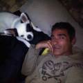https://es.holidog.com/ImagesPetSitters/B42BFE83-5350-4DE3-ABC6-F99759A57404_square_120.jpg los-perros-y-yo-174307-0