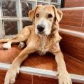 Cuidado-a-domicilio-con-mucho-amor-260412-3