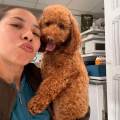 https://es.holidog.com/ImagesPetSitters/BC03DE07-08EF-44E1-A5D4-A817F6021851_square_120.jpg tu-mejor-amigo-en-buenas-manos--259280-0