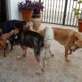 ESTARAN-COMO-EN-CASA-259740-2