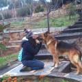 Cuidadora-de-mascotas-en-Andorra-130848-1