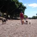 https://es.holidog.com/ImagesPetSitters/C2D92E25-0CFD-4D05-A54C-62A98AB69749_square_120.jpg Conductora-Canina-32288-1