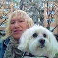 Calidad-para-los-perros.-250943-1
