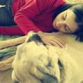 https://es.holidog.com/ImagesPetSitters/C45294C4-D7AB-400A-95F0-3B1CEE1BF501_square_120.jpg Amor-perruno-18031-3
