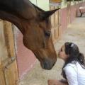 https://es.holidog.com/ImagesPetSitters/C8A7E469-0FFE-4D36-81E2-C48F37692940_square_120.jpg Amor-por-los-animales-22513-1