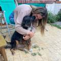 https://es.holidog.com/ImagesPetSitters/CCDE34B6-5080-4ABB-8534-A841C8AFE7FF_square_120.jpg Responsable-amante-de-los-animales-258836-2