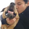 Una-Veterinaria-enamorada-de-ellos-223234-2