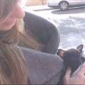 https://es.holidog.com/ImagesPetSitters/D6E23360-B872-4230-B810-11842342CAE3_square_120.jpg Paseadora-de-perros-89700-1