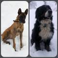 https://es.holidog.com/ImagesPetSitters/DEED0140-F242-438C-8A15-FC5FBCE7405E_square_120.jpg 106370-0