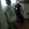 Cuidador-de-mascotas--247882-0