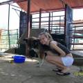 https://es.holidog.com/ImagesPetSitters/E1FE18C4-474A-46CD-8B3A-93FC665D78E0_square_120.jpg Pasión-por-los-animales-99498-3