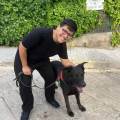 CUIDADOR-DE-MASCOTAS!!-263083-2