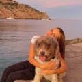 Las-vacaciones-de-tus-mascotas-253811-0
