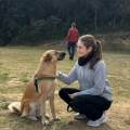 https://es.holidog.com/ImagesPetSitters/F47BA22D-B14B-47FA-A091-AD2E25489751_square_120.jpg Cuidadora-de-mascotas-254413-0