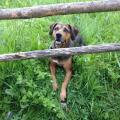 https://es.holidog.com/ImagesPetSitters/FB88B5F1-C7F5-4D6D-99BF-68BA8A53C504_square_120.jpg Cuidado-de-perros-23027-0