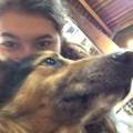 https://es.holidog.com/ImagesPetSitters/FCAD9662-DE2B-4657-BB6A-21C853C3E8DA_square_120.jpg Amante-de-los-perros-8934-2
