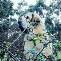 residencia-canina c maria 9e26d30e-b66f-40c5-986a-f3769856aca4