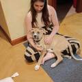 residencia-canina m haizea 10e2109f-04c1-451c-9ab4-e78eb705df7d
