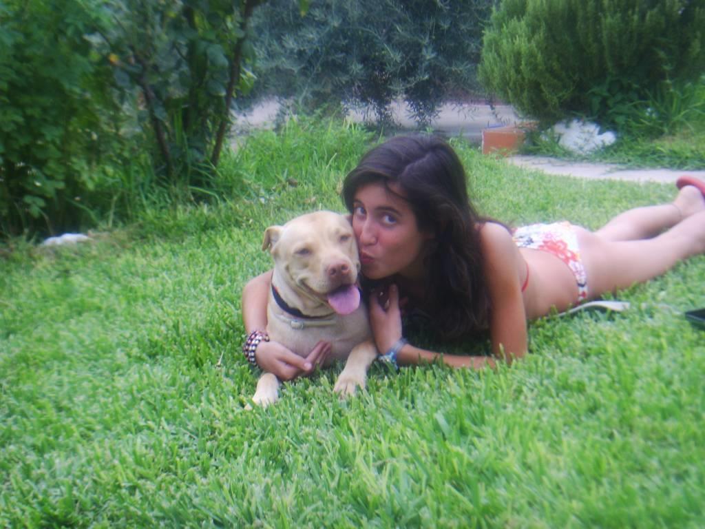 residencia-canina co paula 04a3b7ac-fa93-4b14-9b7b-1624f60635c2