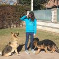 residencia-canina co paula 55692fd4-8813-48c2-a6b8-4b0837384edb