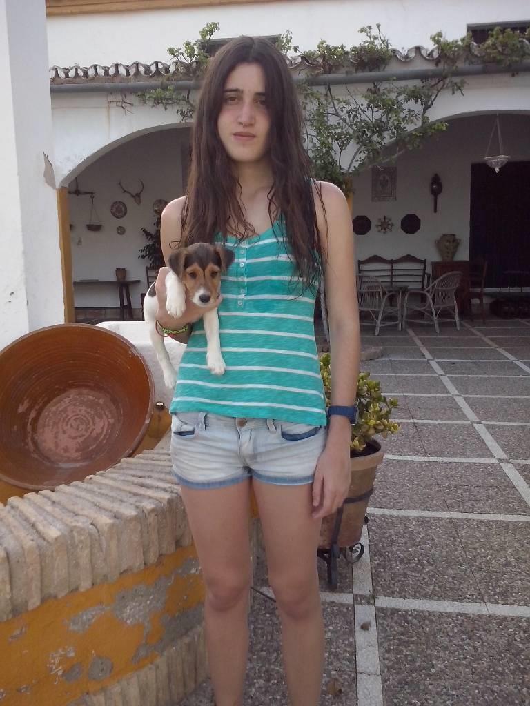 residencia-canina co paula 39a3bcc5-9a85-495d-8b7c-95308ad55d01