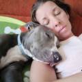 petsitter stranger