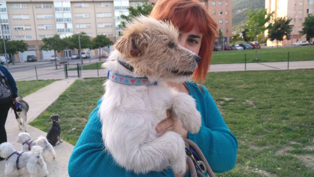 residencia-canina na maialen 88c9be9a-8bf2-48d2-bc3f-ca3cf2d6baff