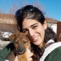 petsitter stranger