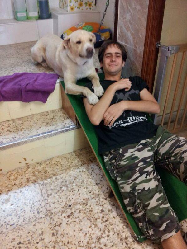 residencia-canina t joshua 5388d6ae-97b6-4fc1-8cfe-aa41fba34f80
