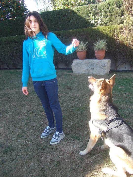 residencia-canina co paula 8199120d-35c4-41cc-ba31-78160399ff0f